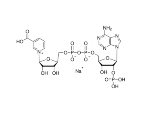 Натриевая соль адениндинуклеотидфосфата никотиновой кислоты 92,5% Sigma N5655