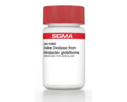 Холиноксидаза из лиофилизированного порошка Arthrobacter globiform, 8-20 мкг / мг твердого вещества Sigma C4405