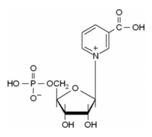 Мононуклеотид никотиновой кислоты Sigma N7764
