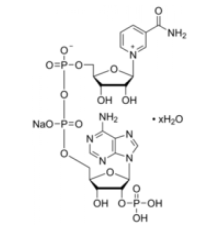 Гидрат натриевой соли -никотинамидадениндинуклеотидфосфата Sigma N0505