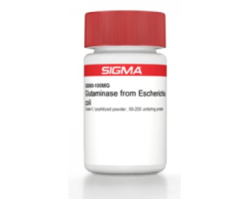 Глутаминаза из Escherichia coli Grade V, лиофилизированный порошок, 50-200 мкг / мг белка Sigma G8880