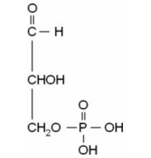 DL-Глицеральдегид-3-фосфатный раствор 45-55 мкг / мл в H2O Sigma G5251