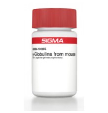 βГлобулины мыши 90% (электрофорез в агарозном геле) Sigma G9894