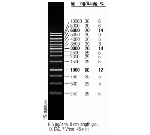 Маркер длин ДНК GeneRuler 1 kb, 14 фрагментов от 250 до 10000 п.н., готовый к применению, 0,5 мкг/мкл, Thermo FS