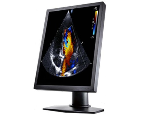 Double Black Imaging 2MP Color Clinical LCD