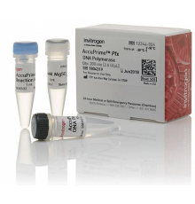 ДНК-полимераза AccuPrime Pfx DNA Polymerase, Thermo FS